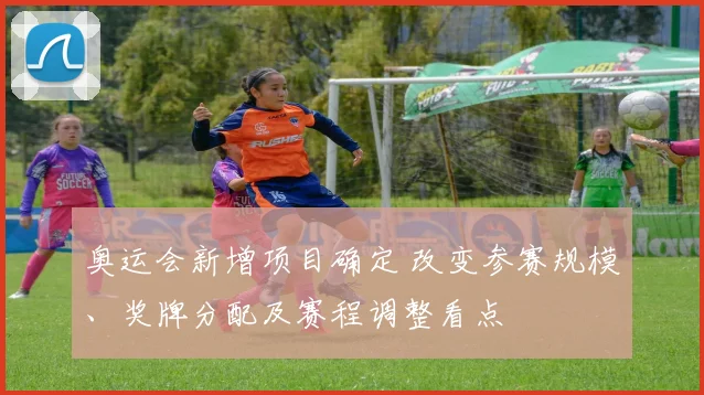 奥运会新增项目确定 改变参赛规模、奖牌分配及赛程调整看点