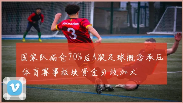 国家队减仓70%后A股足球概念承压 体育赛事板块资金分歧加大