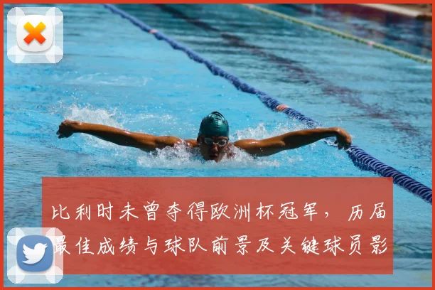 比利时未曾夺得欧洲杯冠军，历届最佳成绩与球队前景及关键球员影响分析