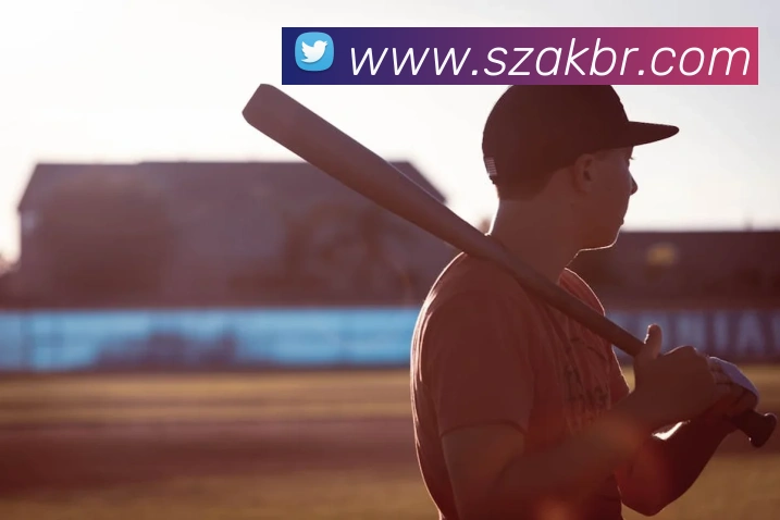 华体网首页官网平台生态图